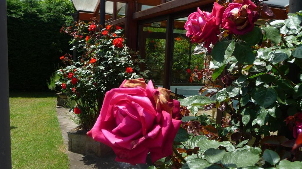 فندق Logis La Rose Des Vents فولفيك المظهر الخارجي الصورة